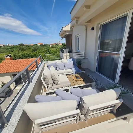 D&d * ביבינייה