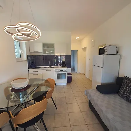 D&d * ביבינייה