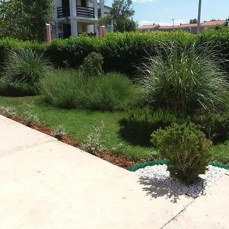 Διαμέρισμα D&d *